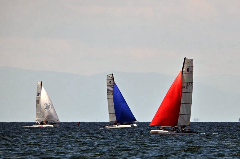 Regatta Albatros 2025
